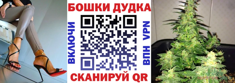 Бошки Шишки планчик Сольцы